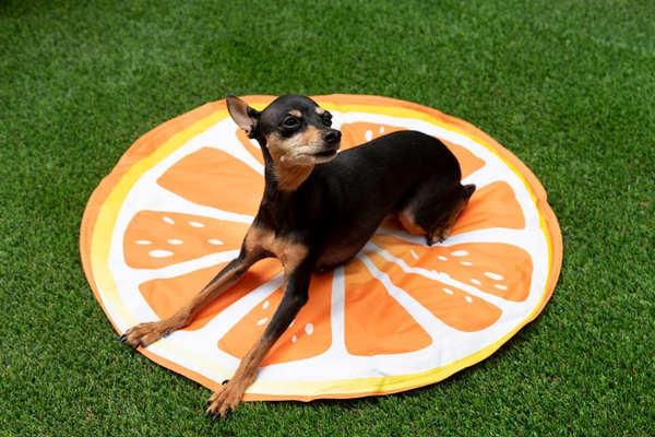 Alfombra Refrescante para Mascotas