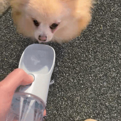 Botella de Agua para Mascotas en Movimiento