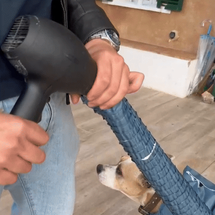 Bolsa Secadora para Mascotas