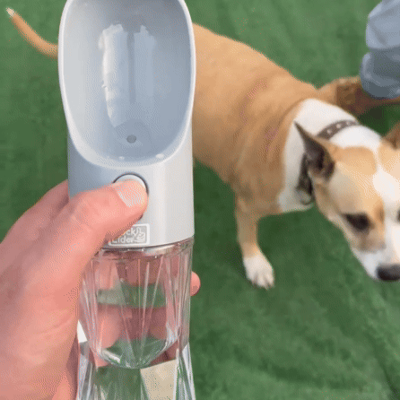 Botella de Agua para Mascotas en Movimiento