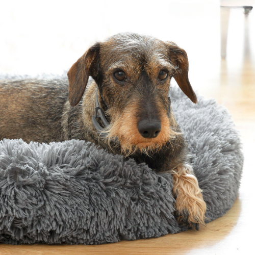 Cama Donut Acogedora para Mascotas
